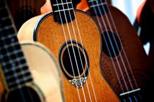St. Helens Blues & Folk Music Workshop